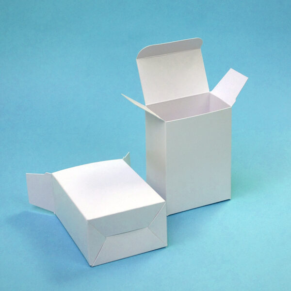 Cardboard Box Snap Lock Base Carton Packaging